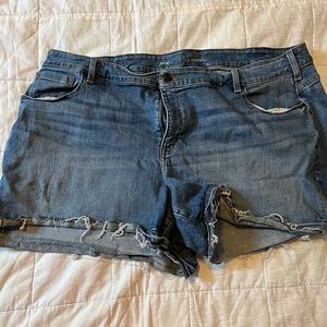 Size 26 Lane Bryant Shorts